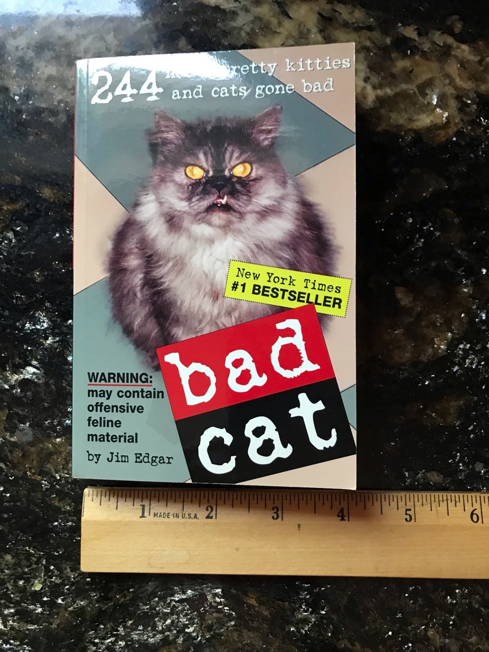 Bad Cat Book - Picture 5 of 10